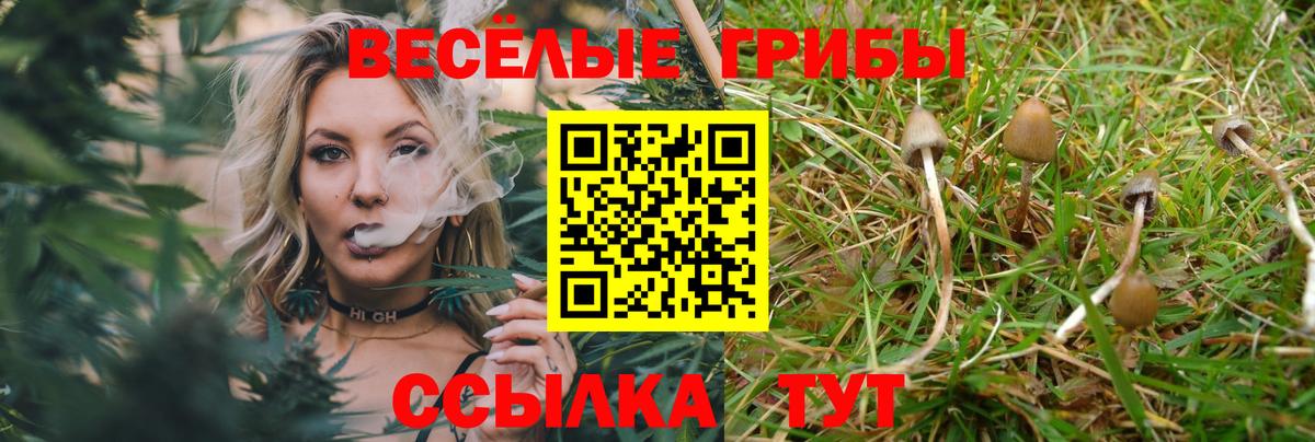 Щёлково  Псилоцибиновые грибы Psilocybine cubensis  Вход с VPN  Псилоцибиновые грибы мицелий 